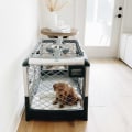 Crate Training for Puppies: The Ultimate Guide