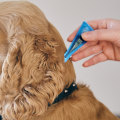 Flea and Tick Prevention and Treatment for Puppies: A Guide for New Puppy Owners