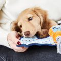 How to Find a Reputable Breeder or Rescue Organization for Your New Puppy