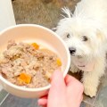 Homemade vs. Store-Bought Options for Puppies: What You Need to Know