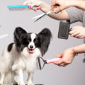 Necessary Grooming Tools for Puppies: The Ultimate Guide