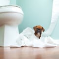 Potty Training Your Puppy: A Complete Guide for New Dog Owners