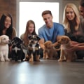 Introducing Your Puppy to Other Pets: Tips and Tricks for Successful Socialization