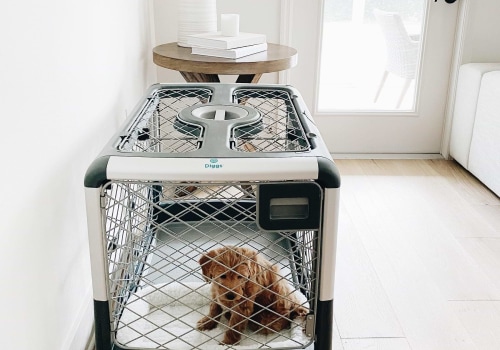 Crate Training for Puppies: The Ultimate Guide