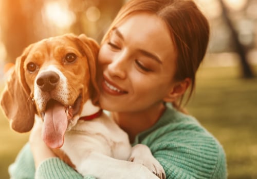 Preventative Care for Puppies: How to Keep Your Furry Friend Happy and Healthy