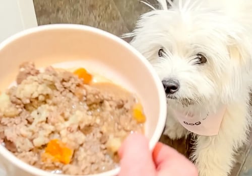 Homemade vs. Store-Bought Options for Puppies: What You Need to Know