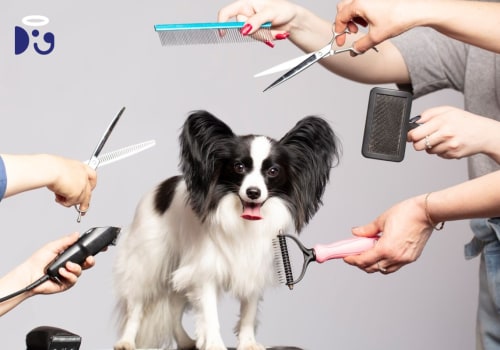 Necessary Grooming Tools for Puppies: The Ultimate Guide