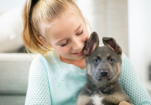 Helping Your Puppy Feel Comfortable and Safe: Tips for New Puppy Owners