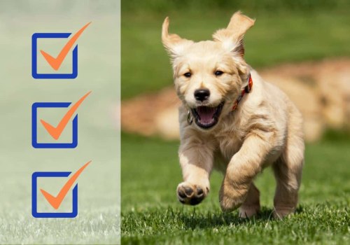 Teaching Your Puppy Proper Socialization Skills: A Comprehensive Guide for New Puppy Parents