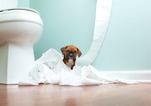 Potty Training Your Puppy: A Complete Guide for New Dog Owners