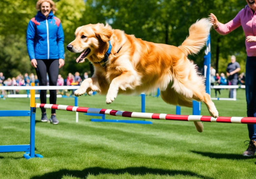 Preparing for Obedience Competitions: A Comprehensive Guide for Puppy Owners