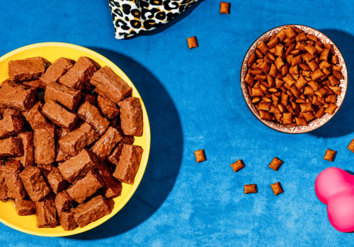 Dry vs. Wet Puppy Food: Which is Best for Your Furry Friend?