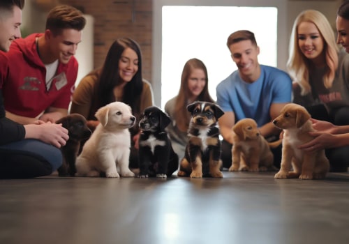 Introducing Your Puppy to Other Pets: Tips and Tricks for Successful Socialization